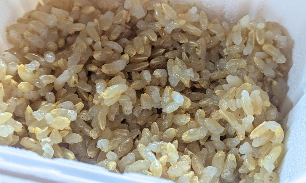 マッスルデリの玄米ごはん