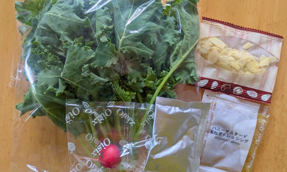 オイシックスのたっぷりケールのチーズナッツサラダ