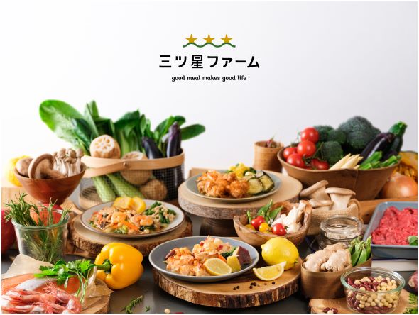 三ツ星ファーム 妊娠中 産後 美味しい 宅配弁当