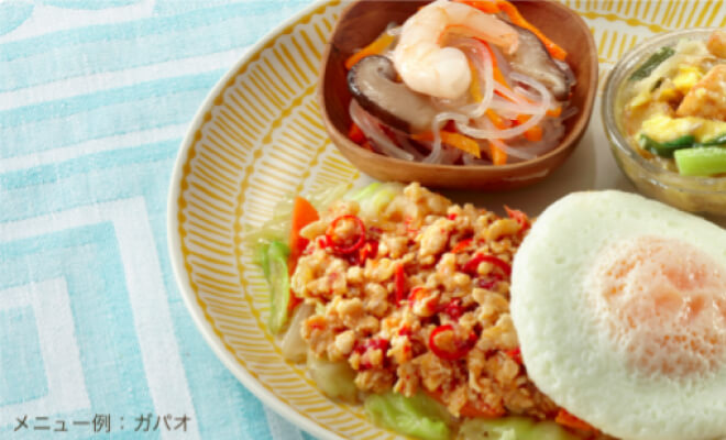 冷凍の宅配弁当ランキング ワタミの宅食ダイレクトのガパオ